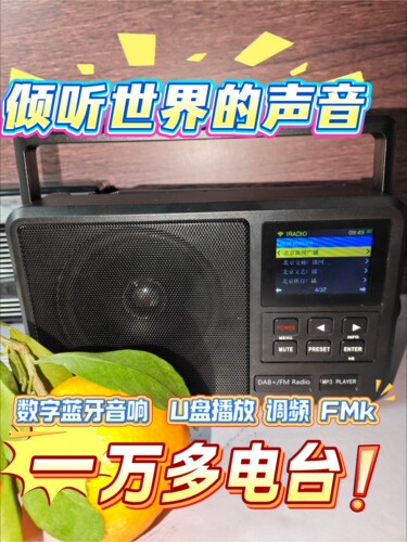 智能网络数字多功能FM收音机806便携式多功能插卡蓝牙DAB调频广播