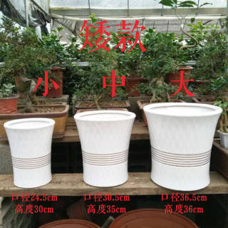 简约高筒陶瓷花盆发财树平安树大型植物室内客厅绿植花盆腰带矮款