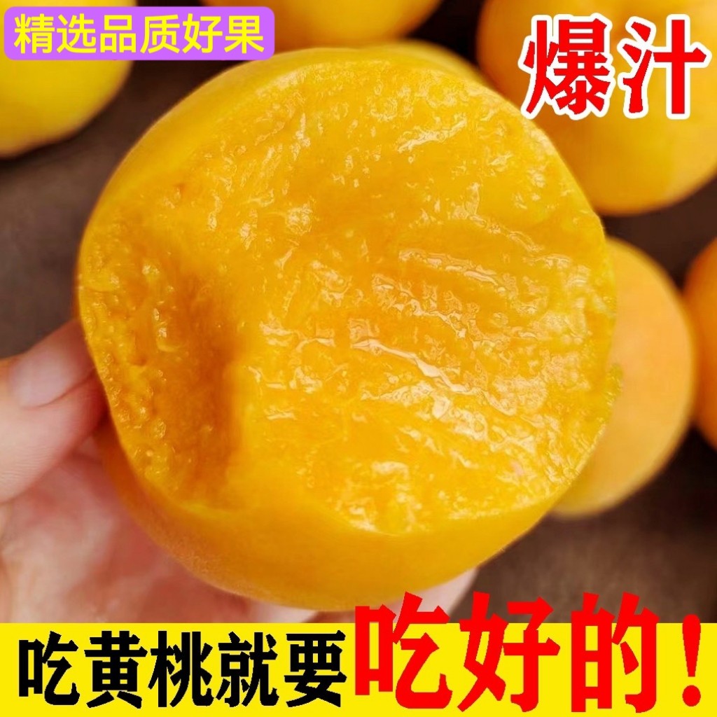 陕西大荔黄金蜜桃大黄桃软糯香甜爆汁现摘现发精选特级大果包邮5J