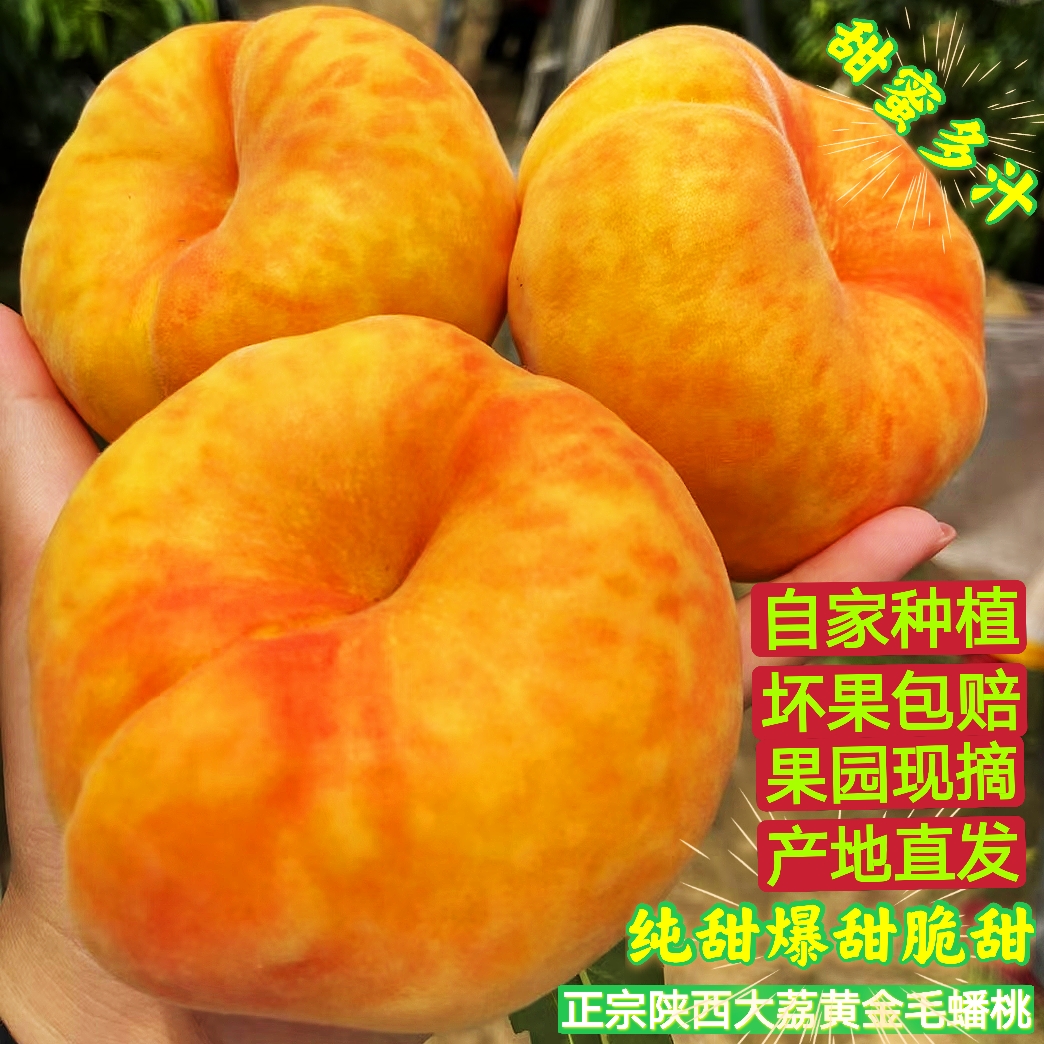 大蟠桃新鲜水果黄金毛蟠桃番桃软甜多汁孕妇现摘速发大果包邮4J