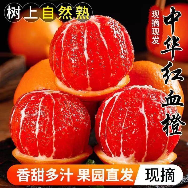正宗中华红血橙子大果应季新鲜爆甜多汁不催熟不打蜡产地现摘现发,水产肉类/新鲜蔬果/熟食,橙,淘宝优惠券,粉丝福利购,淘宝优惠卷
