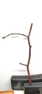 天然红皮枣木本长架拐站架黄雀贝子红子鹦鹉蜡嘴伯劳鸟具鸟架鸟笼