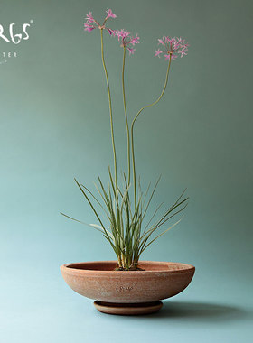 青野园艺家 Bergs 宝格仕 艾达手工陶土花盆丹麦进口家用高级室内