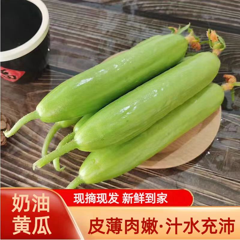 奶油黄瓜清脆爽口水果小黄瓜
