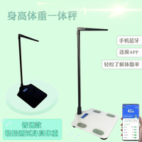 身高體重秤測(cè)量?jī)x成人精準(zhǔn)智能