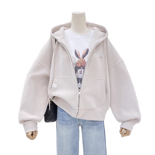 早秋装外套女春秋季韩版宽松大码薄款气质高级感简约刺绣开衫卫衣