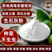 生石灰粉驱虫种菜消毒刷树木白干燥剂防潮除湿农家室内用改良土壤