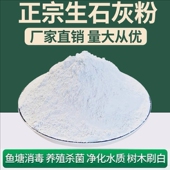 生石灰粉种菜杀虫菌消毒防潮除湿农用改良土壤净水树木刷白干燥剂