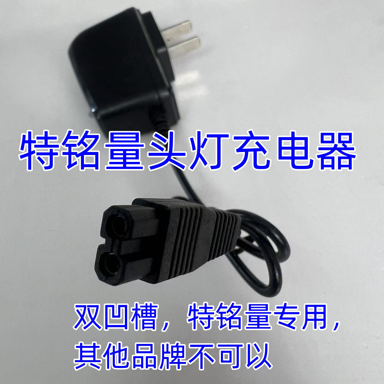 特铭量头灯充电器A46A98 4635 头灯充电线电源双孔插头配件图片