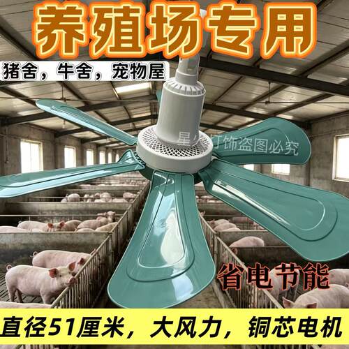 养鸡场养猪场养殖场六叶小吊扇家用宿舍餐厅电风扇吊扇纯铜芯静音