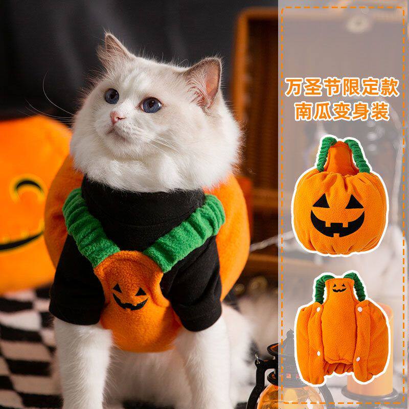 小猫咪衣服秋装猫猫布偶猫蓝猫猫宠物冬季保暖万圣节南瓜灯变身装