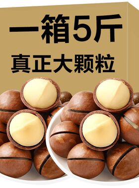 JZS5斤夏威夷果奶油味大颗粒一箱3斤500克坚果批发价年货零食