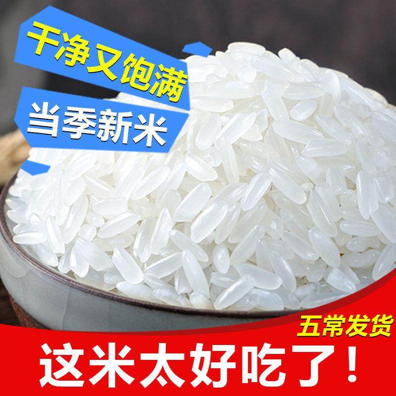 五常稻花香米20斤蟹田新米非拌饭酱珍珠米正宗东北长粒米稻香米10,粮油调味/速食/干货/烘焙,下饭/拌饭酱/拌饭料,淘宝优惠券,粉丝福利购,淘宝优惠卷