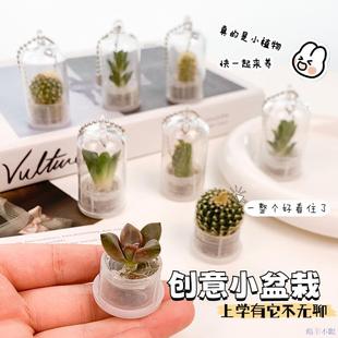 可爱迷你多肉小盆栽挂件创意迷你多肉植物钥匙扣微缩景观小礼物