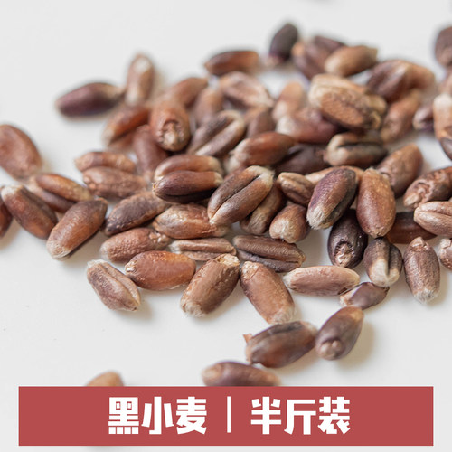 禾麻菽麦黑小麦半斤装真空装