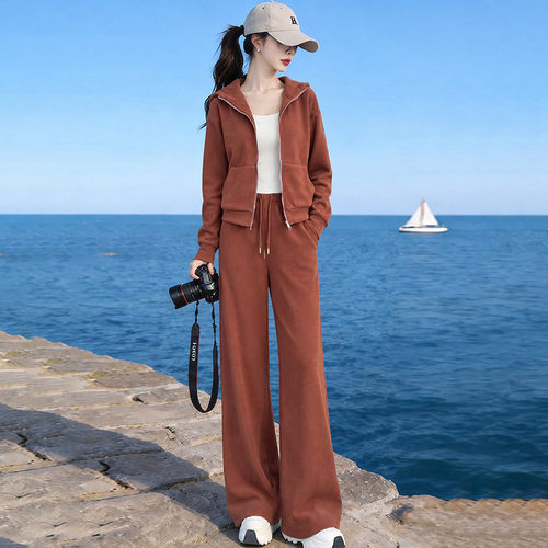 美式休闲运动百搭套装女秋季新款时尚炸街连帽卫衣阔腿裤两件套潮