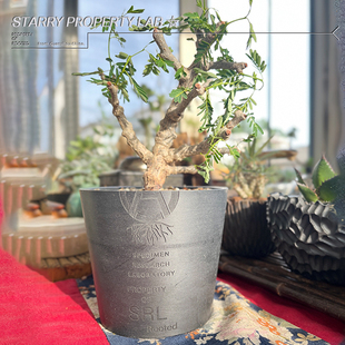 16潮流植物龙舌兰龟甲龙块根SRL花盆黑胶NEIGHBORHOOD