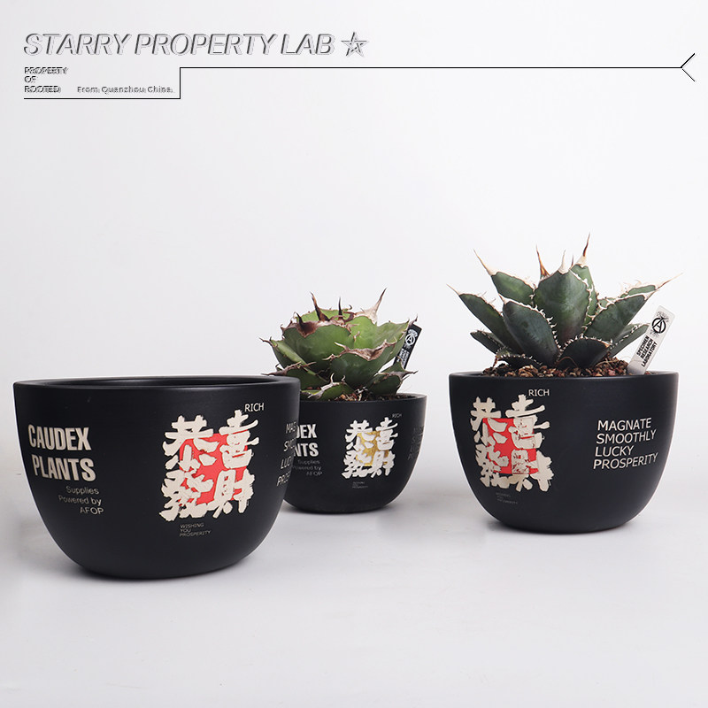 72潮流块根植物龙舌兰龟甲龙块根SRL花盆陶瓷NEIGHBORHOOD图片