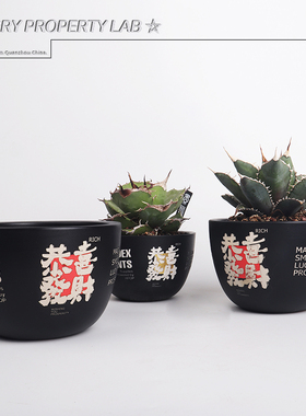 72潮流块根植物龙舌兰龟甲龙块根SRL花盆陶瓷NEIGHBORHOOD