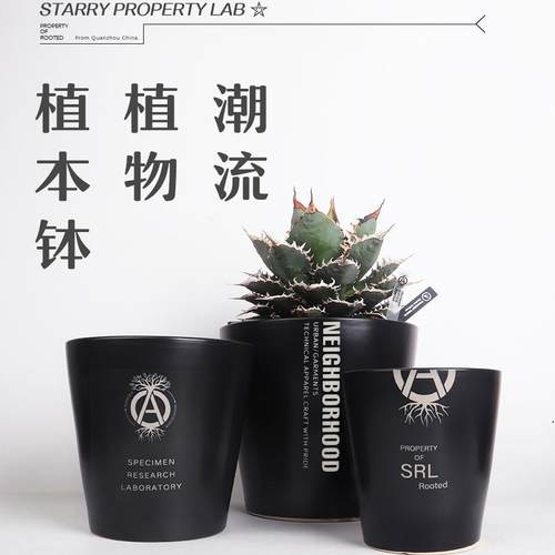 119手工陶瓷龟甲龙惠比须笑大黑象牙宫潮流植物花盆植本钵SRL花盆