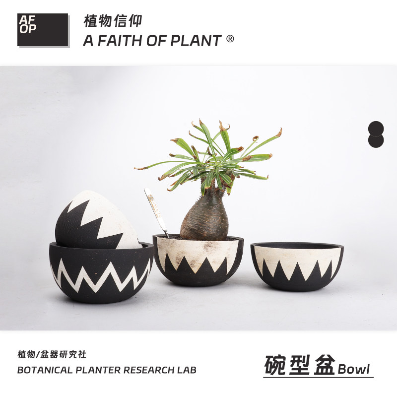 A潮流块根植物龙舌兰龟甲龙块根SRL陶瓷手工花盆NEIGHBORHOOD图片