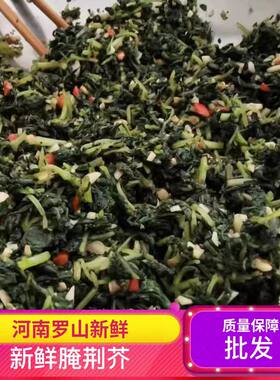 河南信阳罗山新鲜腌荆芥
