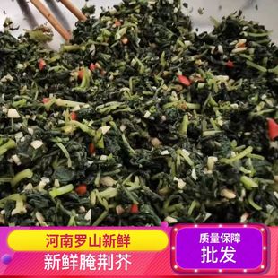 河南信阳罗山农村现拔土特产当季新鲜腌荆芥嫩荆芥凉拌即食炒菜