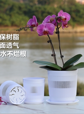 蝴蝶兰种植专用透气控根盆石斛沥水网孔育苗钵3.5寸兰花杯定植篮