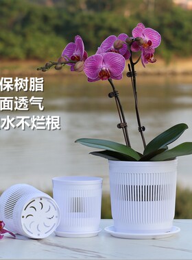 蝴蝶兰种植专用透气控根盆石斛沥水网孔育苗钵3.5寸兰花杯定植篮