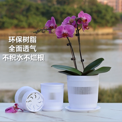 蝴蝶兰种植专用透气控根盆石斛沥水网孔育苗钵3.5寸兰花杯定植篮