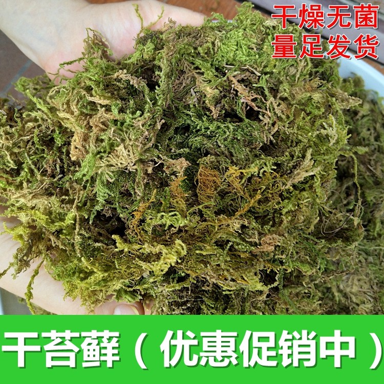 乌龟冬眠干苔藓水陆两生动物饲养爬虫宠物垫材水草蝴蝶兰花土壤,鲜花速递/花卉仿真/绿植园艺,介质/营养土,淘宝优惠券,粉丝福利购,淘宝优惠卷