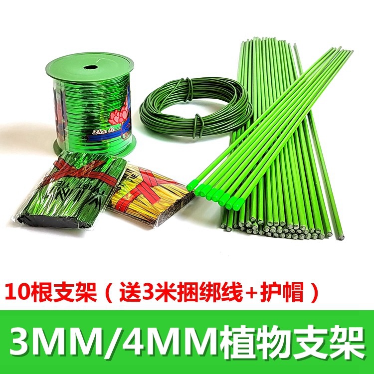 金钱树支架龟背竹兰花植物支撑杆植物收拢架蔬菜瓜果爬藤攀爬铁架,鲜花速递/花卉仿真/绿植园艺,花架,淘宝优惠券,粉丝福利购,淘宝优惠卷