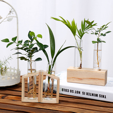 Sáng tạo gỗ thủy tinh bình hoa đứng thủy canh cây xanh trồng hoa văn phòng bàn nước cây xanh dul sạch không khí - Vase / Bồn hoa & Kệ bình gốm cắm hoa đào