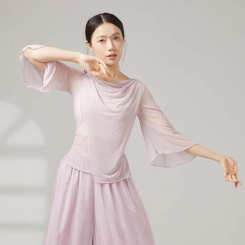 古典舞纱衣上衣中国服仙气舞蹈网纱练功飘逸荡领舞网纱服