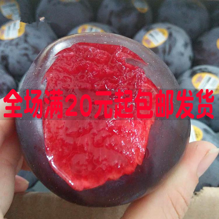 美国大黑李 黑布林李子苗黑布朗李 黑布林树苗 嫁接果树苗李子苗