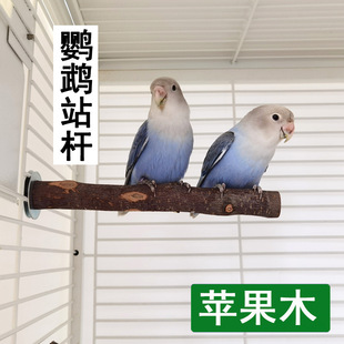 鹦鹉苹果木站架玄凤跳台鸟笼栖息站杆啃咬玩具磨爪棒鸟笼子用品