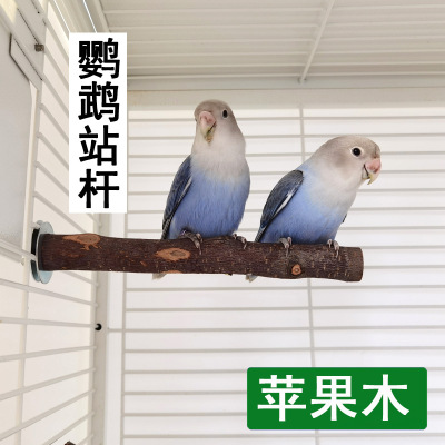 鹦鹉苹果木站架玩具鸟笼栖息站杆