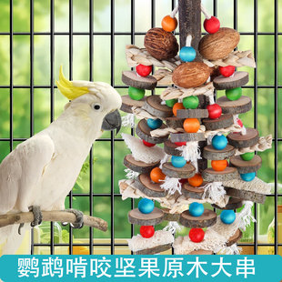 鹦鹉玩具中大型坚果原木啃咬串解闷磨嘴鹦鹉用品鸟玩具鸟笼装饰