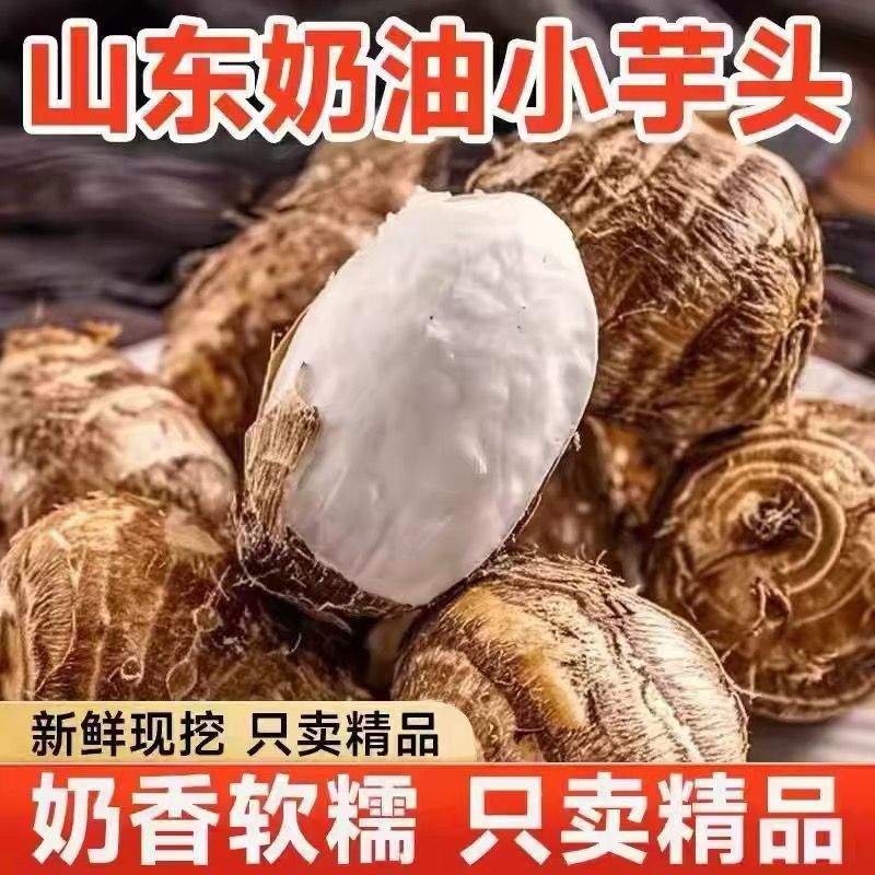 新鲜山东牛奶小芋头糯芋香芋种子蔬菜正宗糯毛芋代餐早餐包邮批发