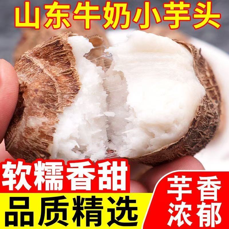山东牛奶小芋头毛芋头