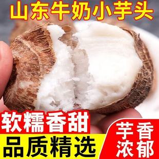现挖新鲜毛芋头山东牛奶小芋头子软糯芋艿种子竽头农家种植香芋儿