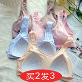 大码 运动内衣一体式 固定胸垫胖mm背心学生中老年人妈妈文胸罩女士