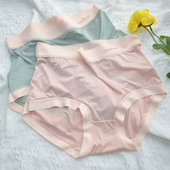 内裤 速干冰丝桑蚕丝抗菌裆胖mm高腰收腹底裤 女大码 200斤高弹薄款