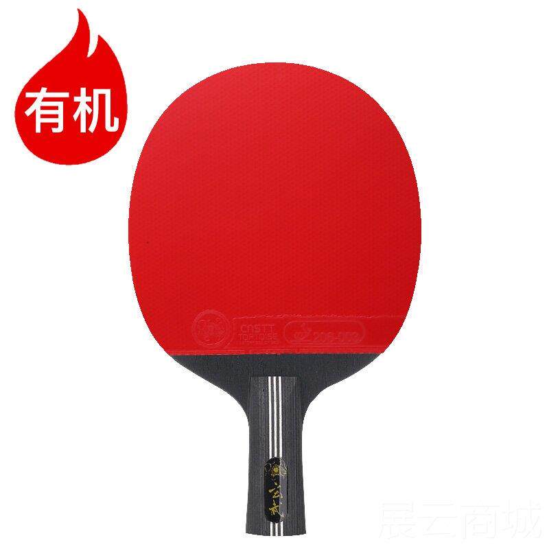 高档CnsT拍T凯斯汀玄武乒球专业级乓板胶皮diy乒乓拍单底拍兵乓球