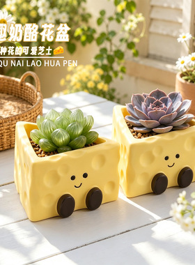 可爱黄色奶酪造型花盆家用绿植造景室内桌面多肉仙人球装饰种植盆