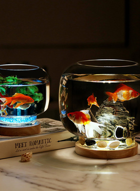 创意圆形玻璃热带小鱼缸生态观赏鱼缸桌面灯光假山缸招财全景水缸