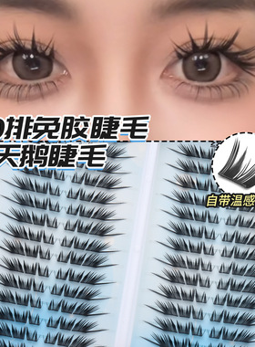 南阳公主月下黑天鹅30排睫毛书免胶大容量浓密上镜小薄片分段卷翘