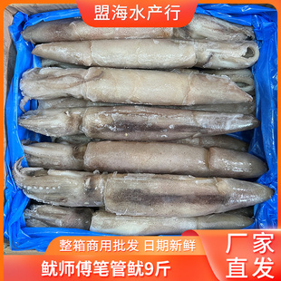 冷冻海兔子新鲜笔管鱼鱿鱼仔野生海捕小鱿鱼墨鱼烧烤商用食材9斤