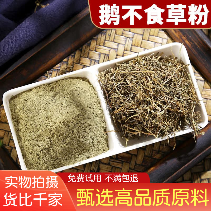 中药材 鹅不食草粉 石胡蒌粉启信堂原料散装新鲜干货 500克包邮