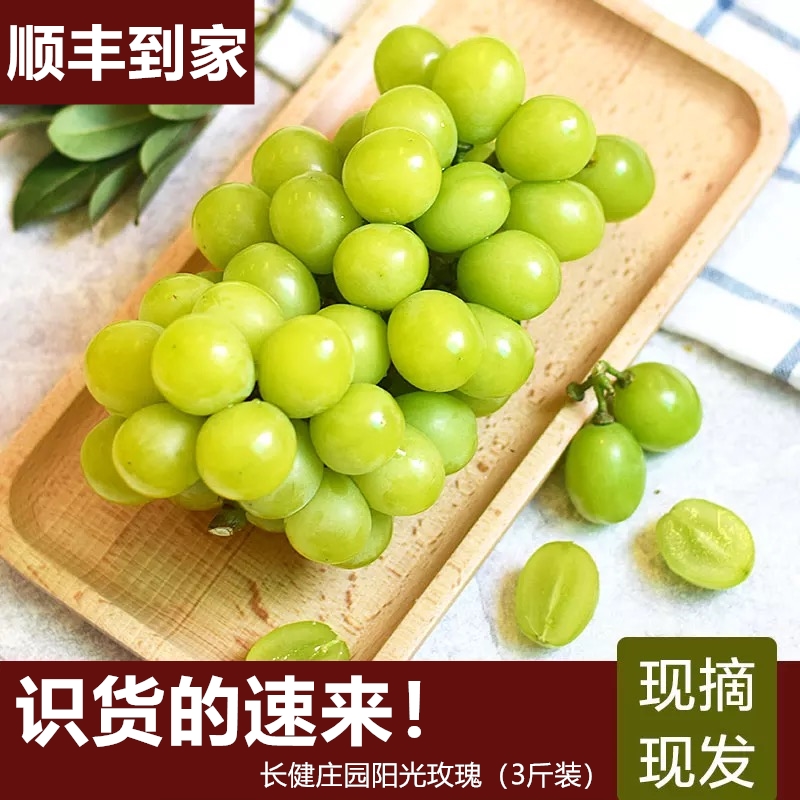 山东种植无籽葡萄 新鲜阳光玫瑰提子青提 绿色水果 顺丰包邮3斤装